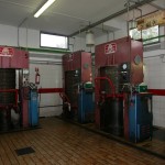 IMG_0537