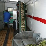 IMG_0541