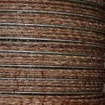 IMG_0543