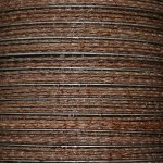 IMG_0544