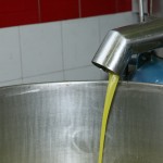 IMG_0546