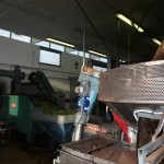 IMG_0566